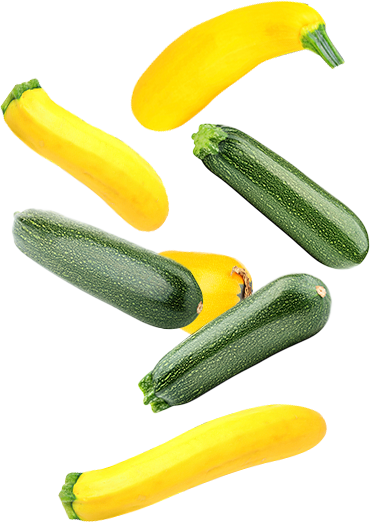 Courgette