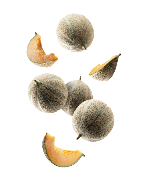 Cantaloupe