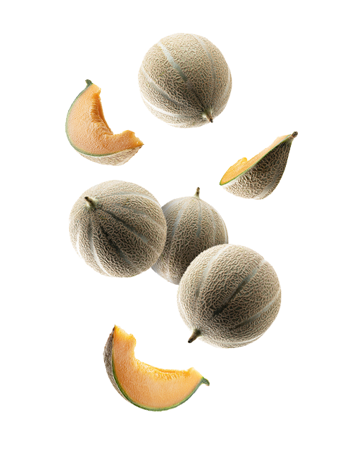 Cantaloupe