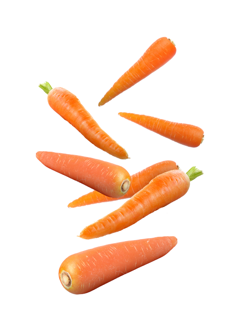 Carrot