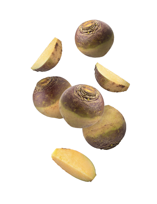 Rutabaga