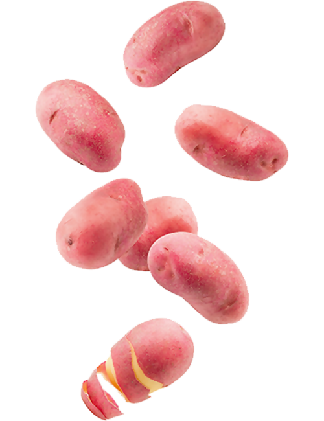 Pomme de terre