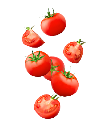 Tomato