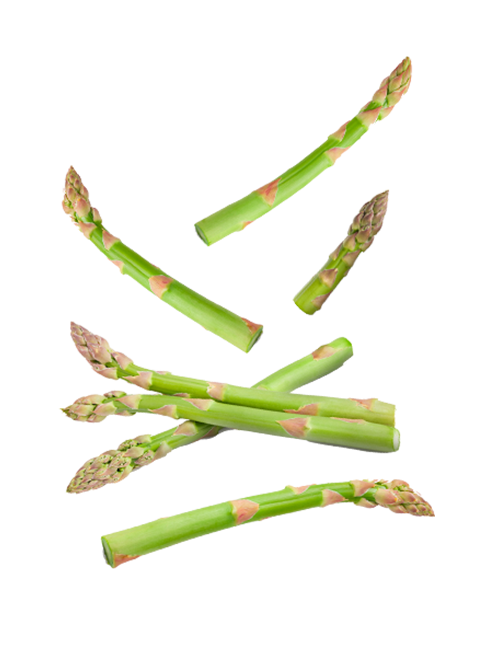 Asperge