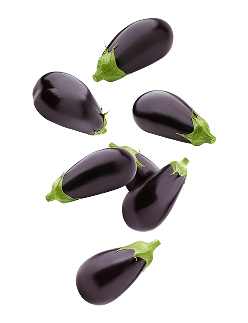 Aubergine