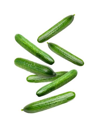 Cucumber