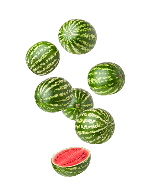 Melon d'eau