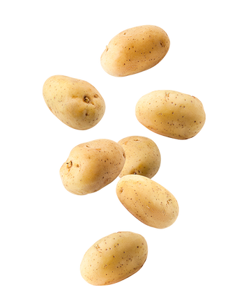 Potato