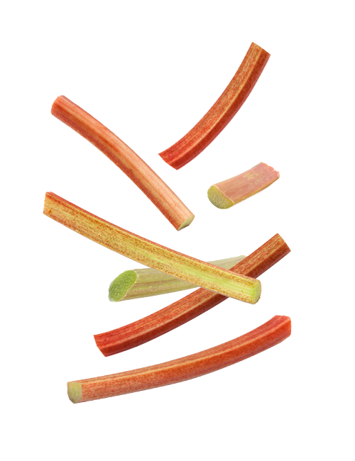 Rhubarbe