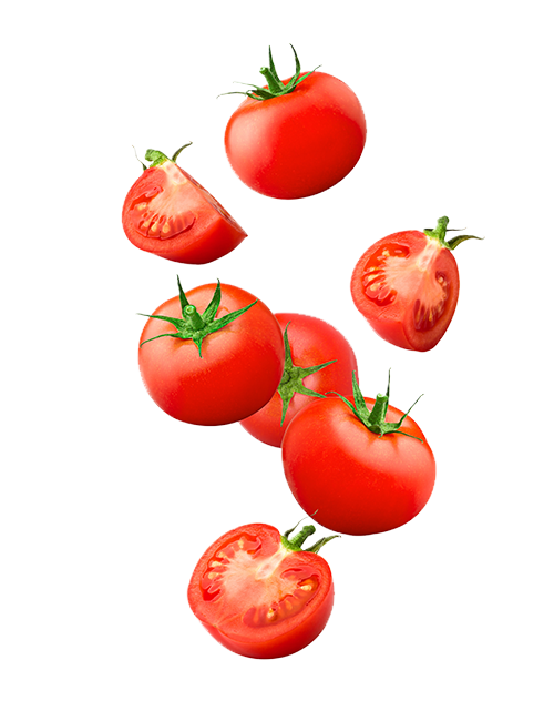 Tomate