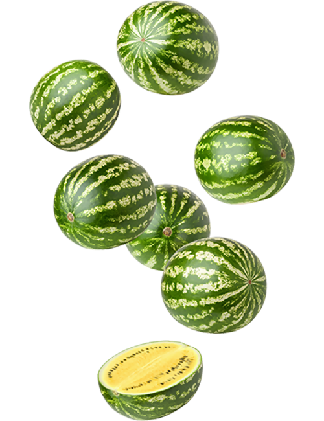 Melon d'eau