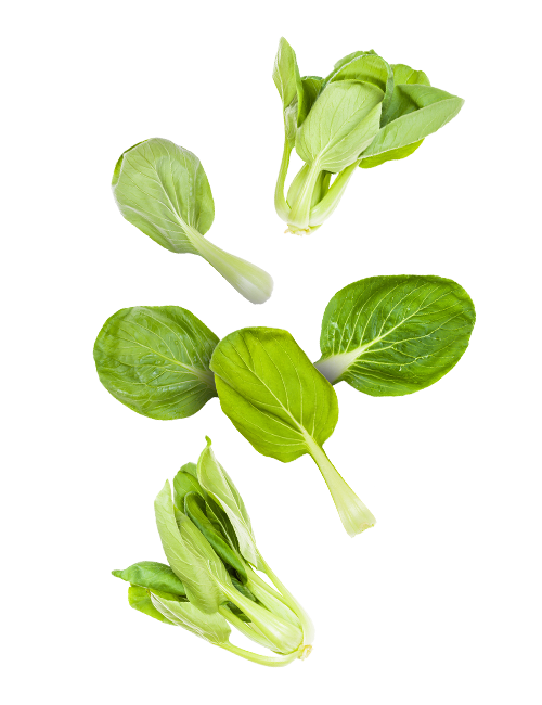 Bok choy