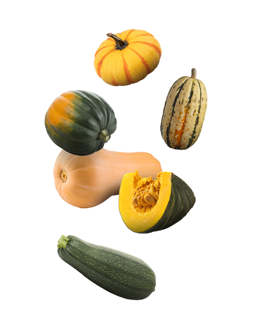 Courge