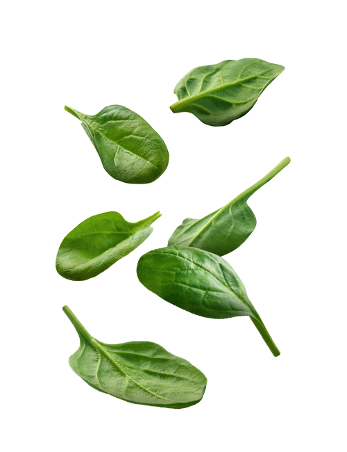 Spinach