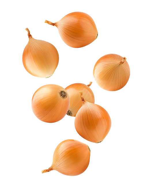 Onion