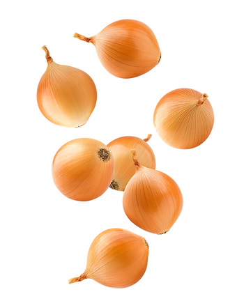 Onion