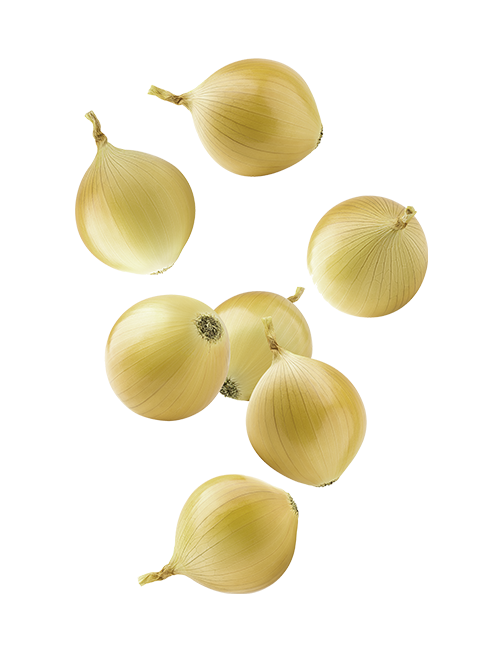 Onion