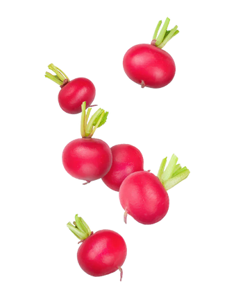 Radish